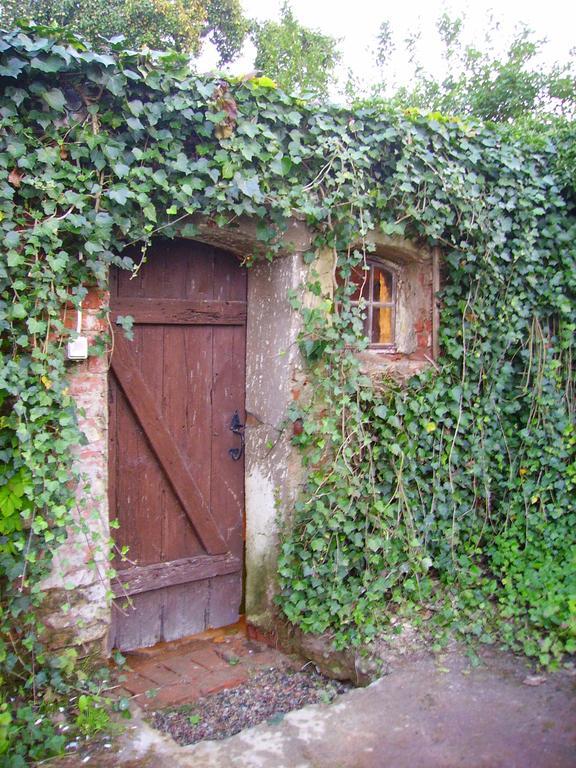 Zakatek Pod Grusza Villa Bedzino Exteriör bild