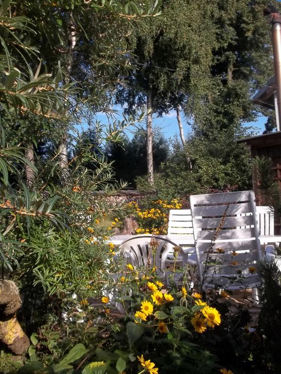 Zakatek Pod Grusza Villa Bedzino Exteriör bild