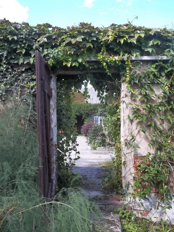 Zakatek Pod Grusza Villa Bedzino Exteriör bild