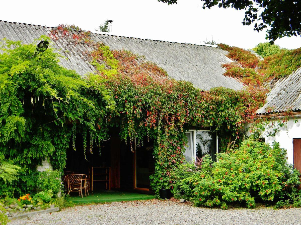 Zakatek Pod Grusza Villa Bedzino Exteriör bild